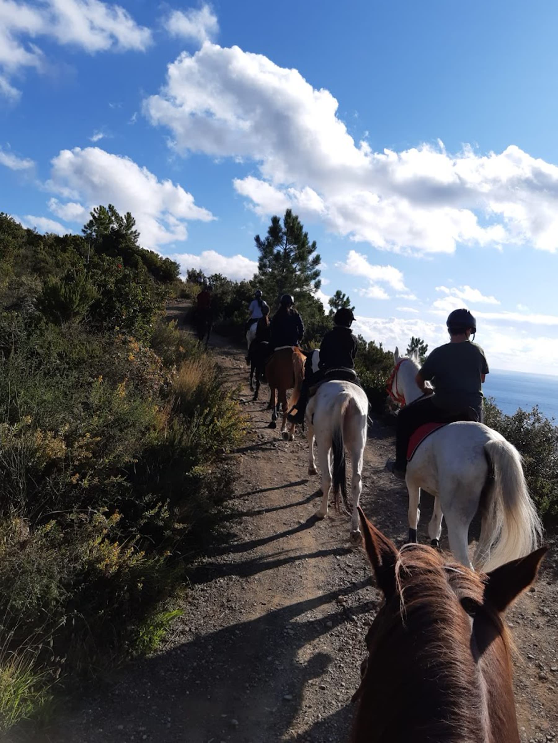 Partecipanti a cavallo su un sentiero panoramico nella natura